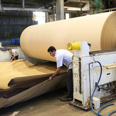 خمیر کاغذ تهیه شده از باگاس نیشکر معمولاً در تهیه‌ی رول‌های کاغذی با گریدهای خاص استفاده می‌شود.
